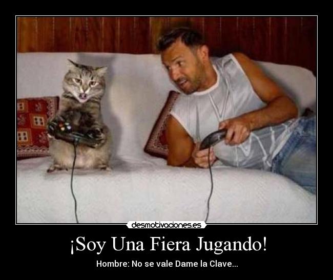 carteles gato jugando xbox desmotivaciones