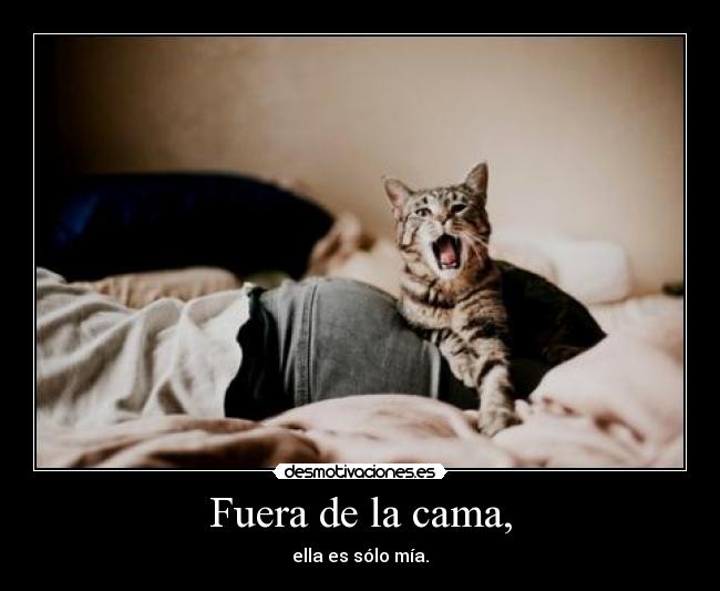 carteles gatito celoso desmotivaciones