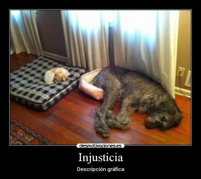 Injusticia - Descripción gráfica