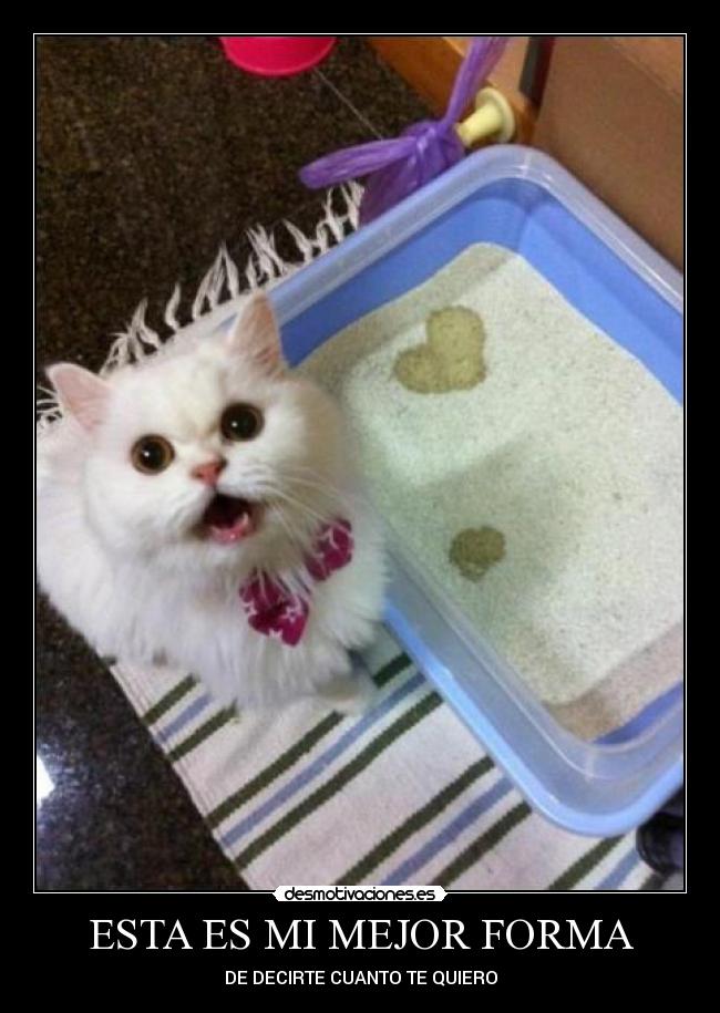 ESTA ES MI MEJOR FORMA - DE DECIRTE CUANTO TE QUIERO