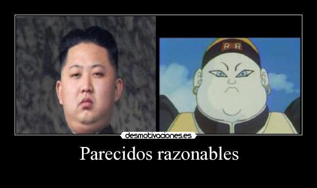 Parecidos razonables -