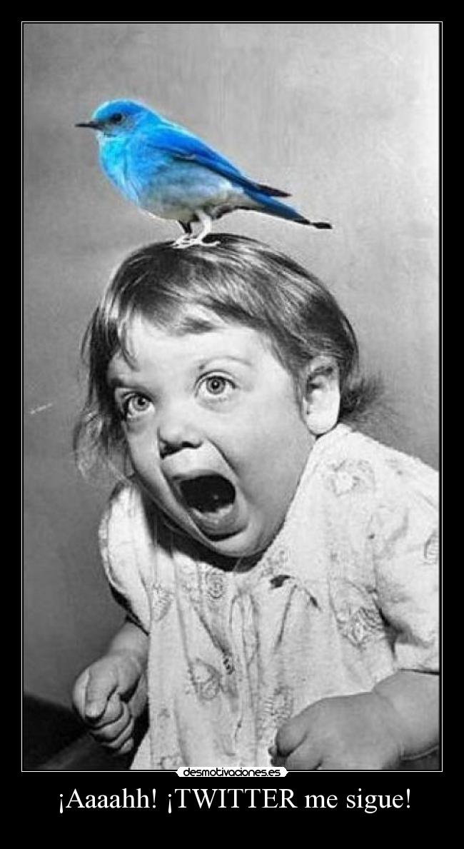 ¡Aaaahh! ¡TWITTER me sigue! -