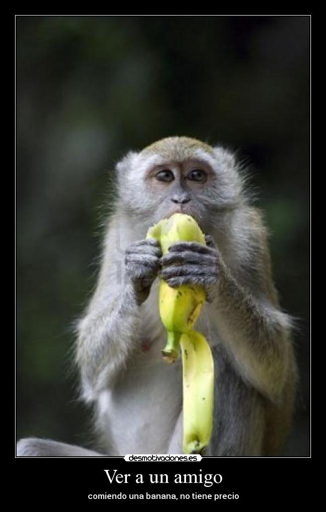 Ver a un amigo - comiendo una banana, no tiene precio