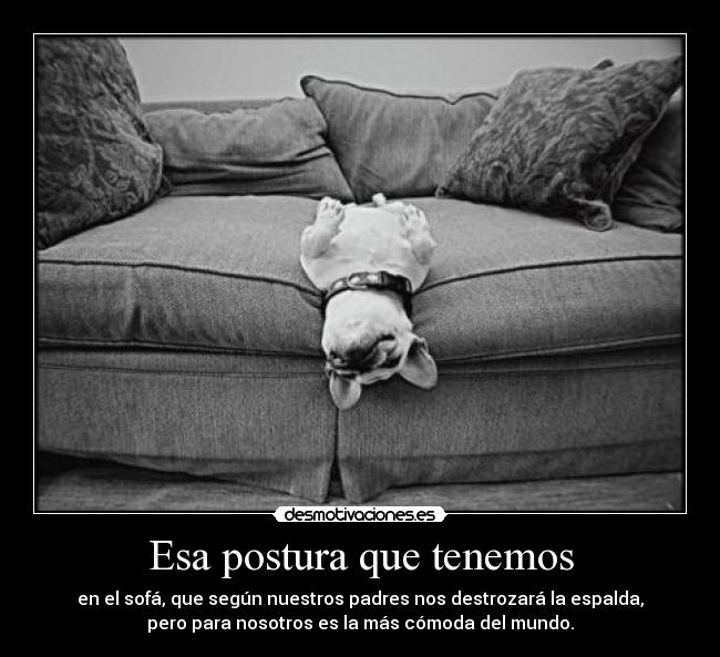 carteles dogs lorenita23 desmotivaciones