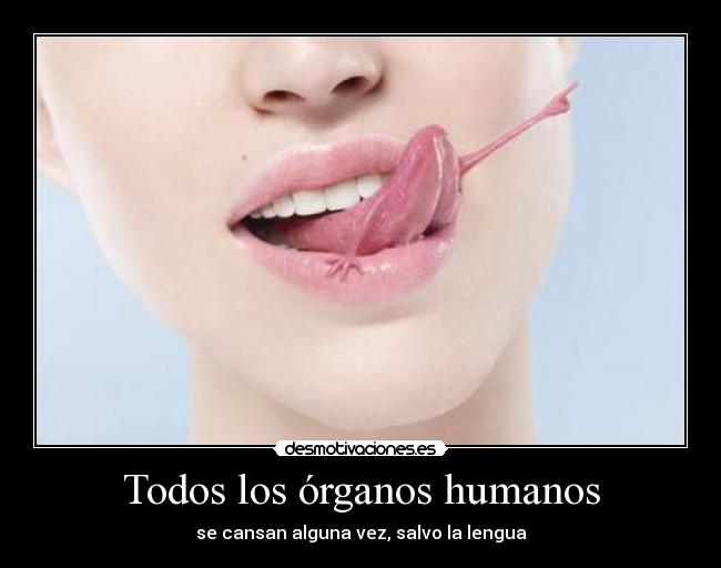 Todos los órganos humanos - se cansan alguna vez, salvo la lengua