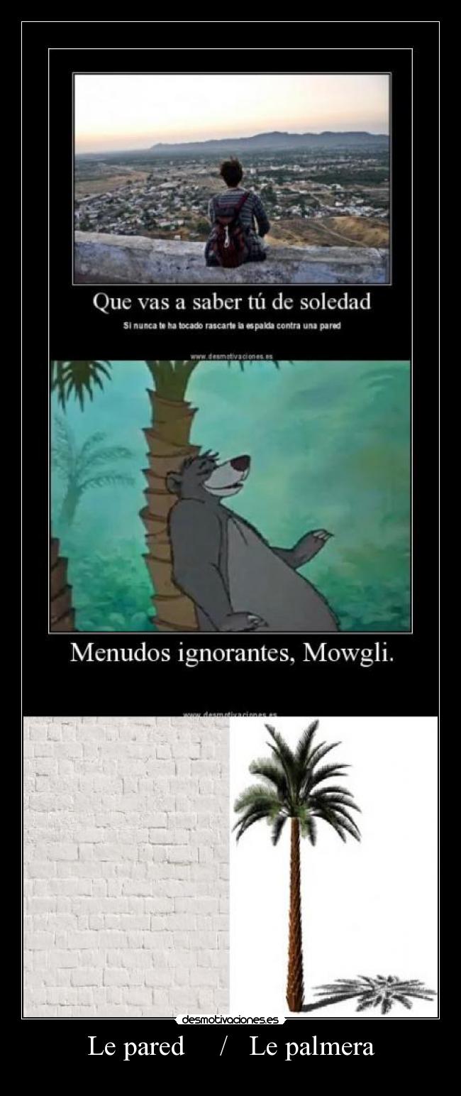 carteles pared palmera mkjyugnhdsvfac desmotivaciones