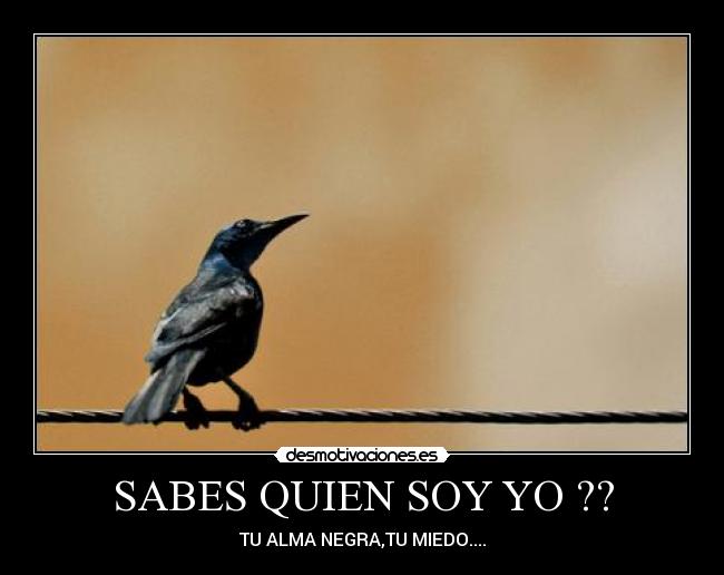 SABES QUIEN SOY YO ?? - TU ALMA NEGRA,TU MIEDO....
