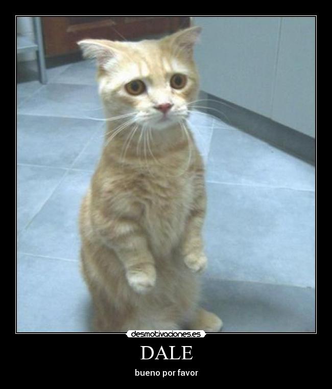 DALE - bueno por favor