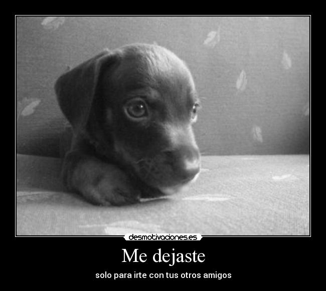 Me dejaste -