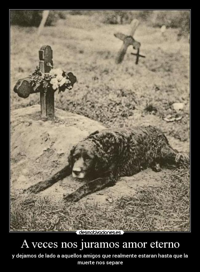 A veces nos juramos amor eterno - 