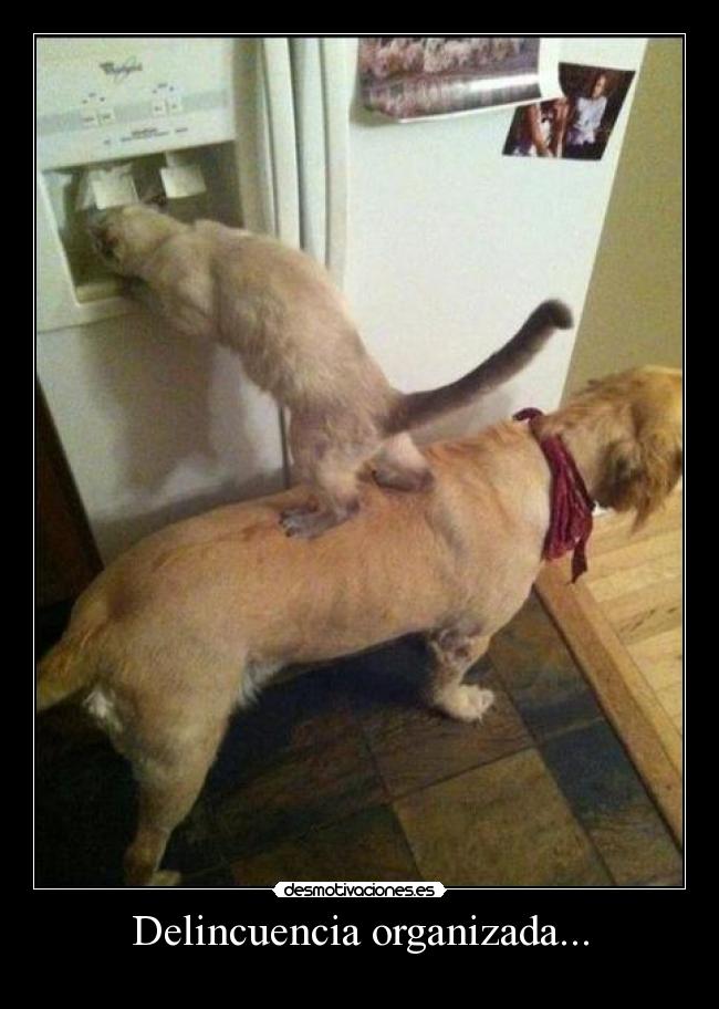 carteles se explico 0krhumor crying smilig waiting crying desmotivaciones