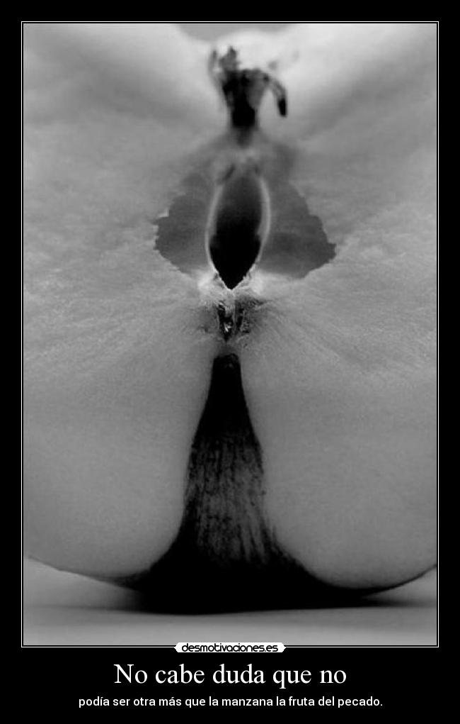 No cabe duda que no -