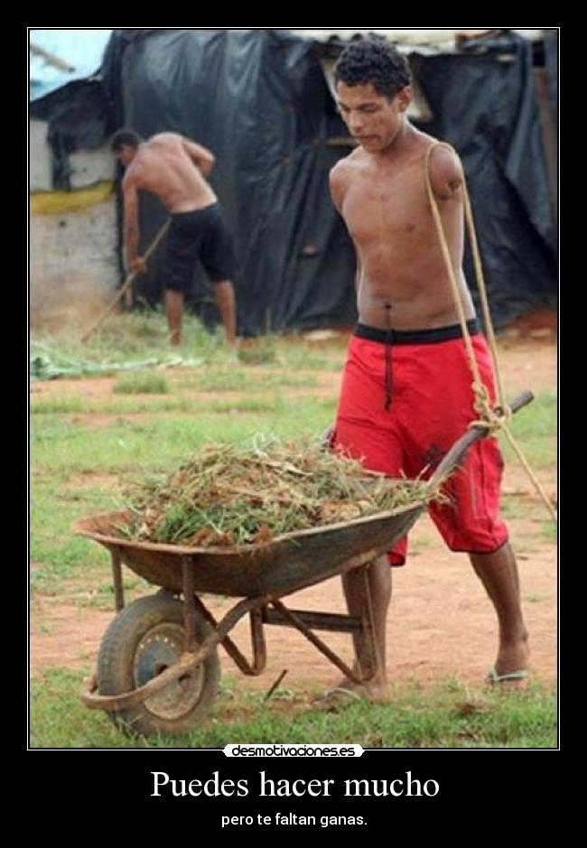 Puedes hacer mucho -