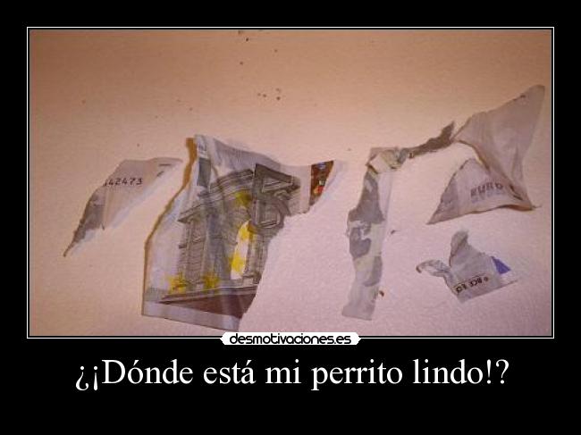 ¿¡Dónde está mi perrito lindo!? -