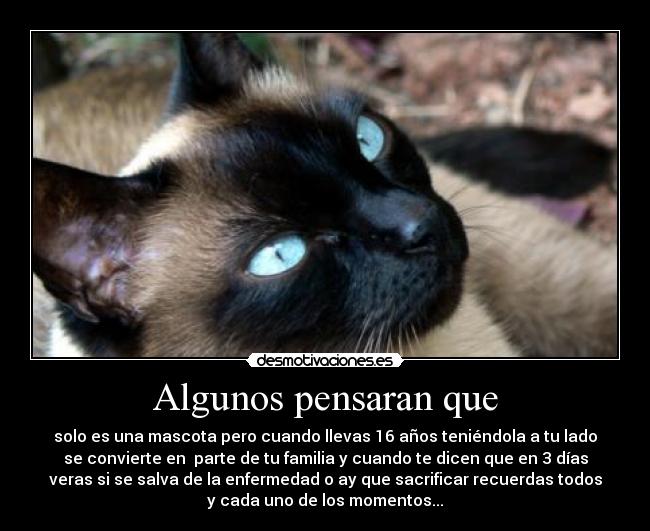 Algunos pensaran que - 