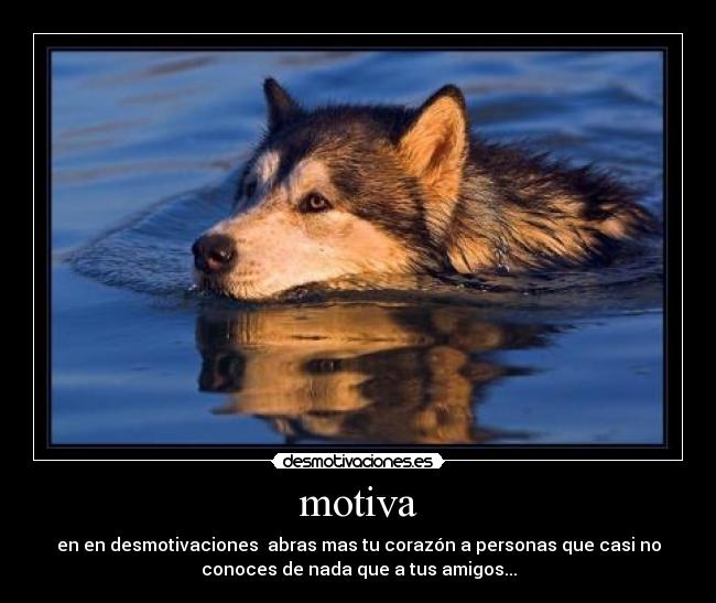 motiva - en en desmotivaciones abras mas tu corazón a personas que casi no
conoces de nada que a tus amigos...