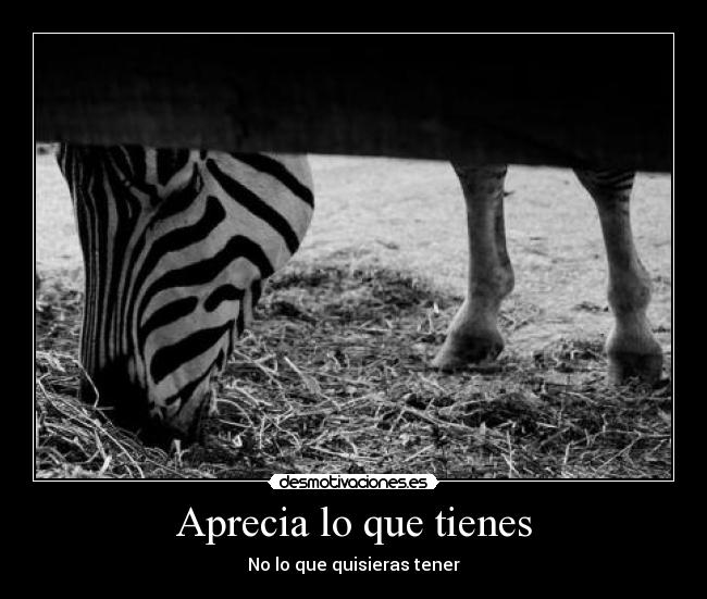 Aprecia lo que tienes - No lo que quisieras tener