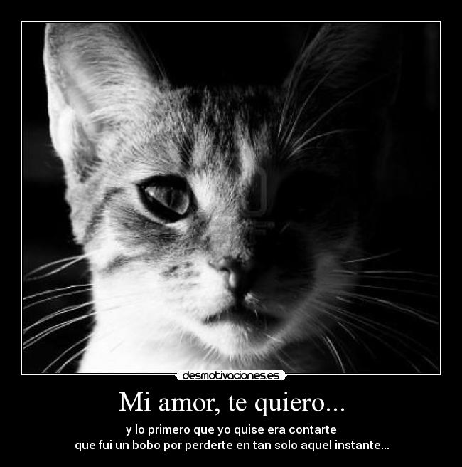 Mi amor, te quiero... - y lo primero que yo quise era contarte
que fui un bobo por perderte en tan solo aquel instante...