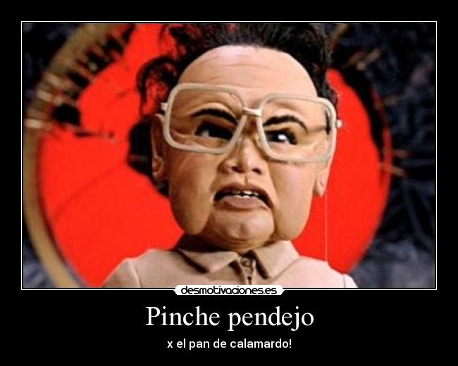 Pinche pendejo - 