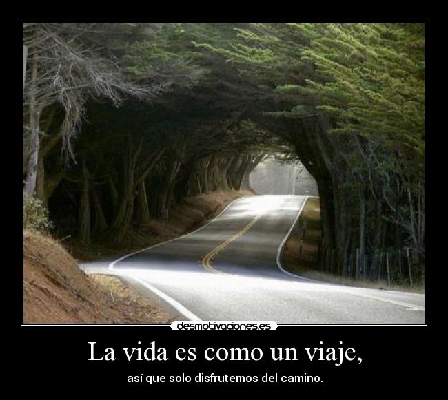 carteles vida vida viaje disfruta camino gibson2528 desmotivaciones