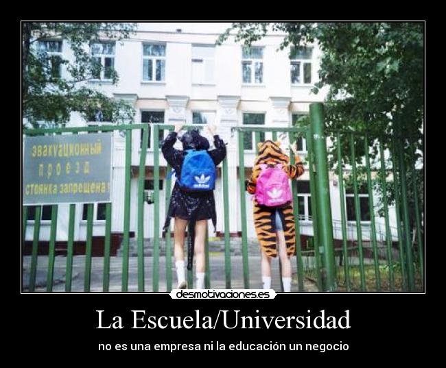 La Escuela/Universidad -
