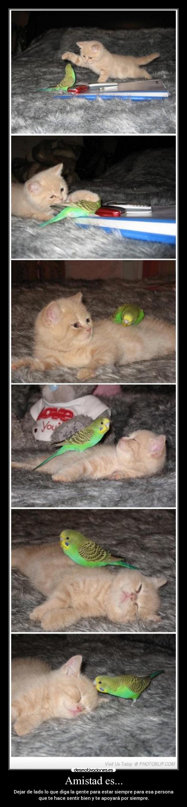 Amistad es... - Dejar de lado lo que diga la gente para estar siempre para esa persona
que te hace sentir bien y te apoyará por siempre.