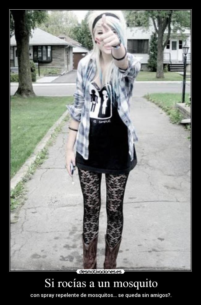 Si rocías a un mosquito -