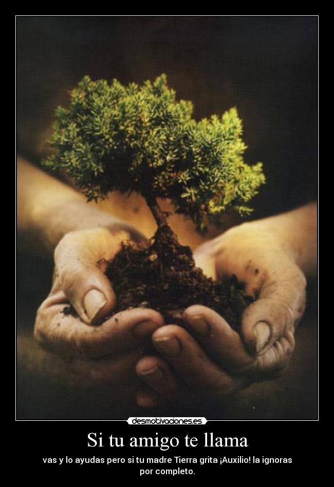 carteles habran sus mentes pero permitan que polvo entre ella madre tierra myrniz desmotivaciones