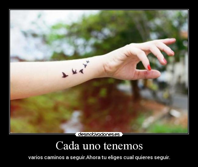 Cada uno tenemos - varios caminos a seguir.Ahora tu eliges cual quieres seguir.