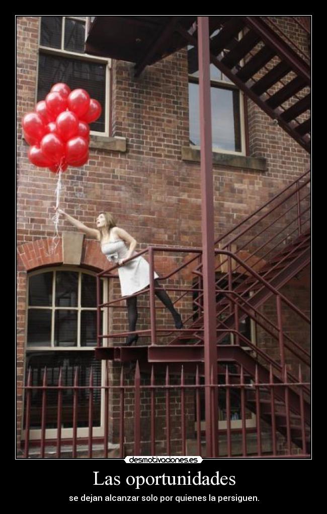 Las oportunidades - se dejan alcanzar solo por quienes la persiguen.