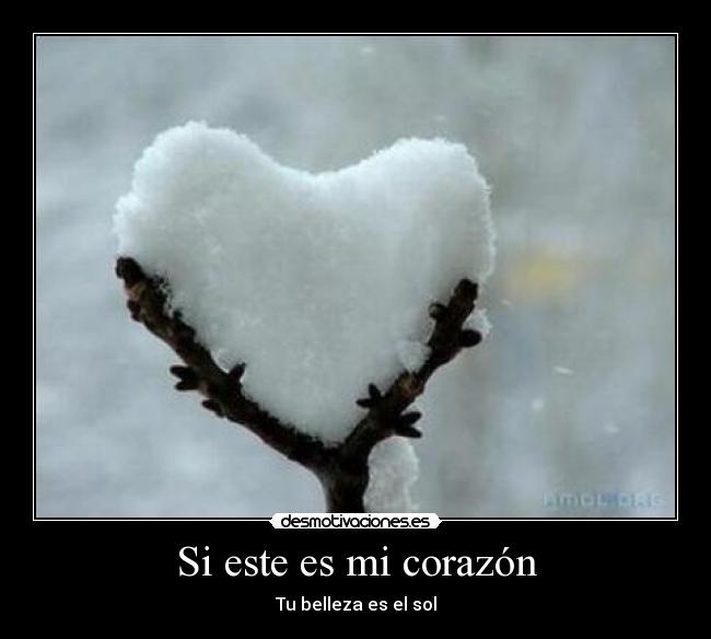 carteles corazon amor desmotivaciones