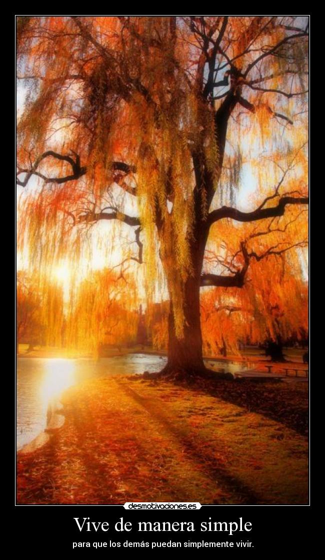 Vive de manera simple - 