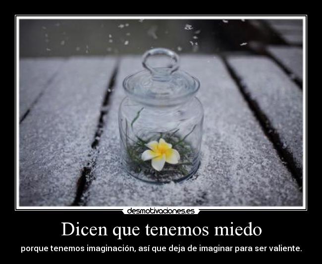 Dicen que tenemos miedo - porque tenemos imaginación, así que deja de imaginar para ser valiente.