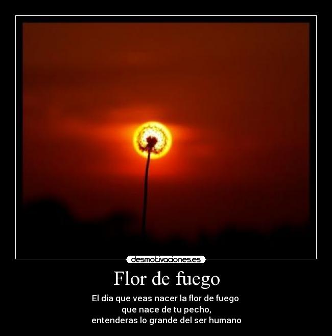 Flor de fuego -
