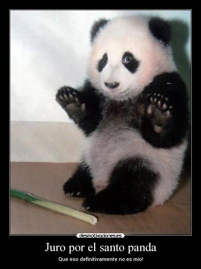 Juro por el santo panda - Que eso definitivamente no es mio!