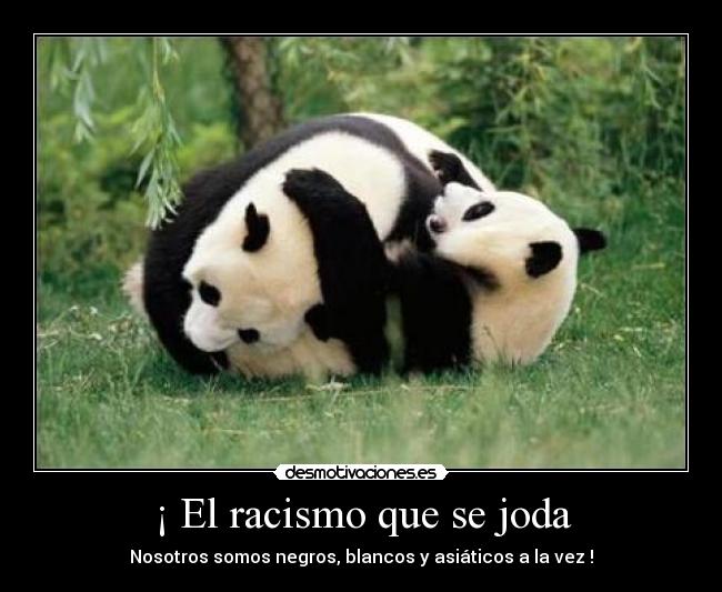 ¡ El racismo que se joda - 