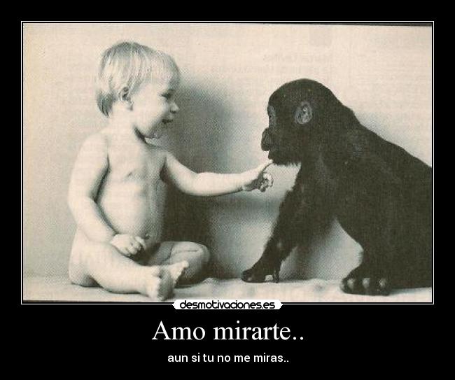 Amo mirarte.. - 