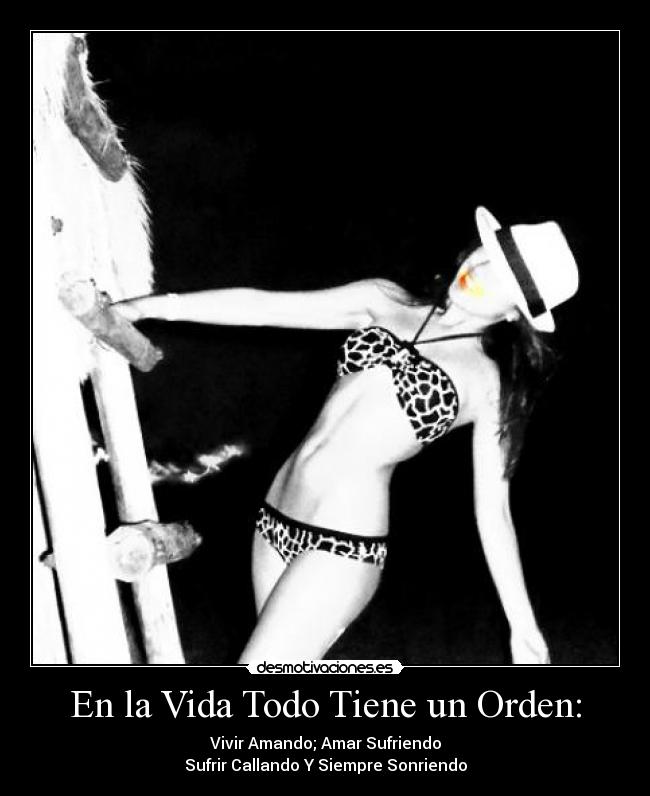 En la Vida Todo Tiene un Orden: -