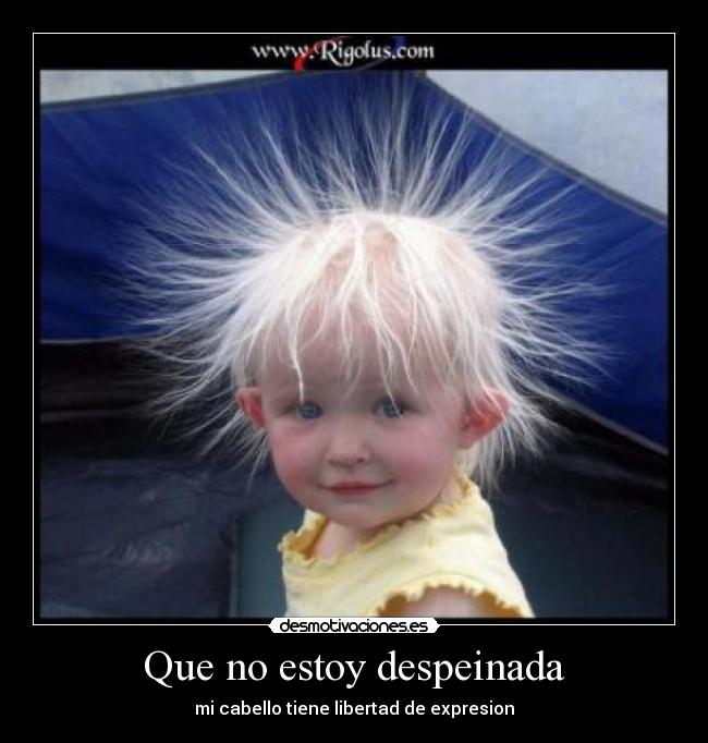 Que no estoy despeinada - mi cabello tiene libertad de expresion