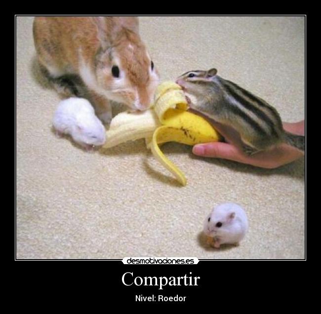 Compartir -
