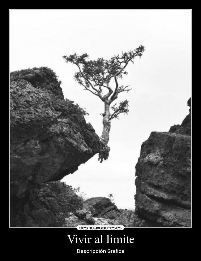 Vivir al limite - Descripción Grafica