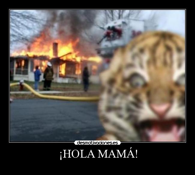 carteles tigretoneh clanng clantigretoneh desmotivaciones