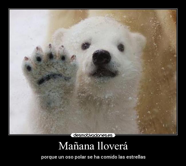 Mañana lloverá - porque un oso polar se ha comido las estrellas
