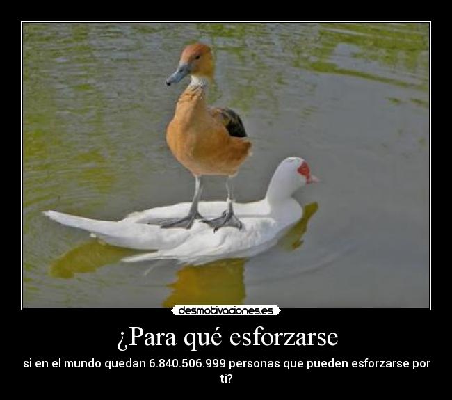 ¿Para qué esforzarse - si en el mundo quedan 6.840.506.999 personas que pueden esforzarse por ti?