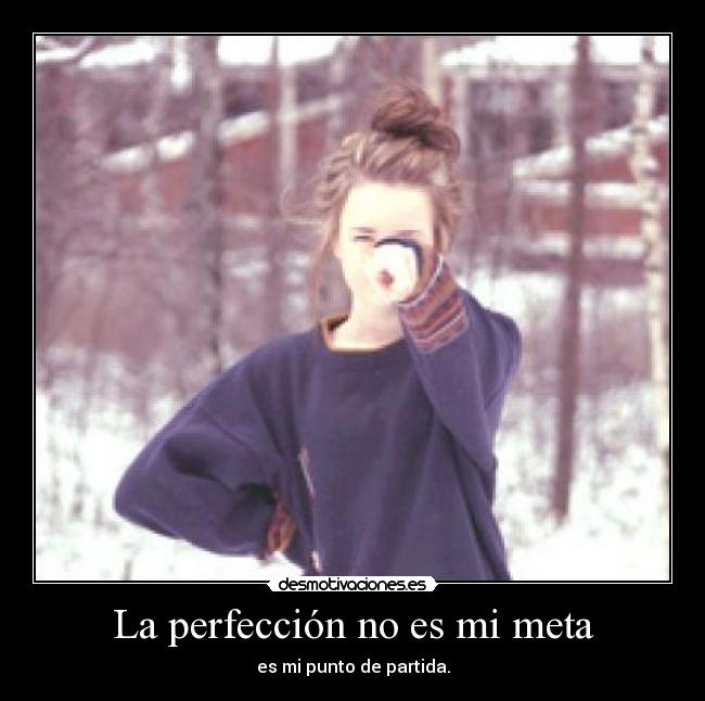 carteles perfeccion desmotivaciones