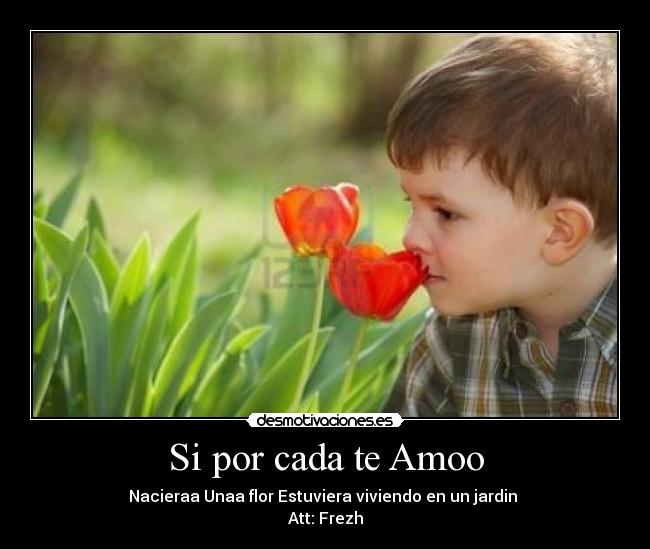 Si por cada te Amoo - Nacieraa Unaa flor Estuviera viviendo en un jardin
Att: Frezh