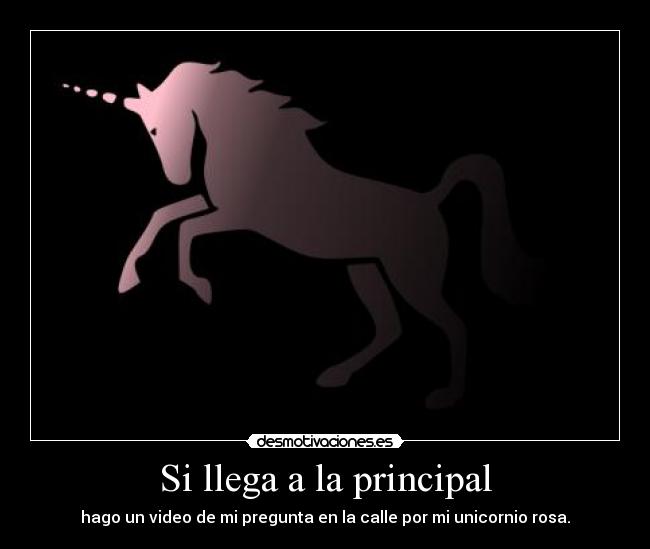 Si llega a la principal - hago un video de mi pregunta en la calle por mi unicornio rosa.