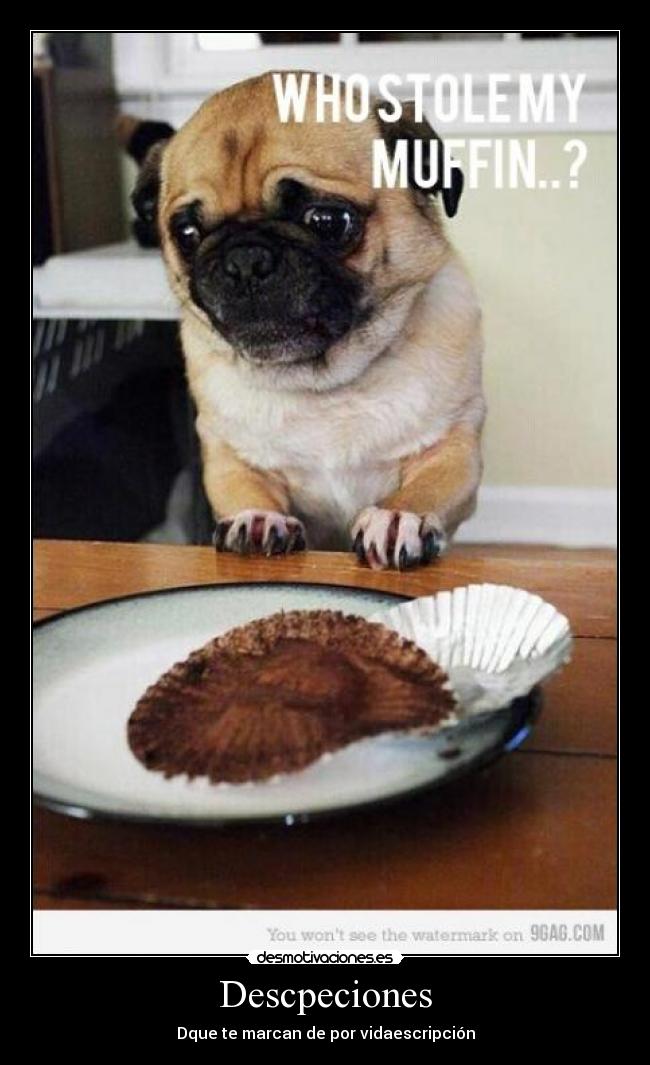 Descpeciones - Dque te marcan de por vidaescripción