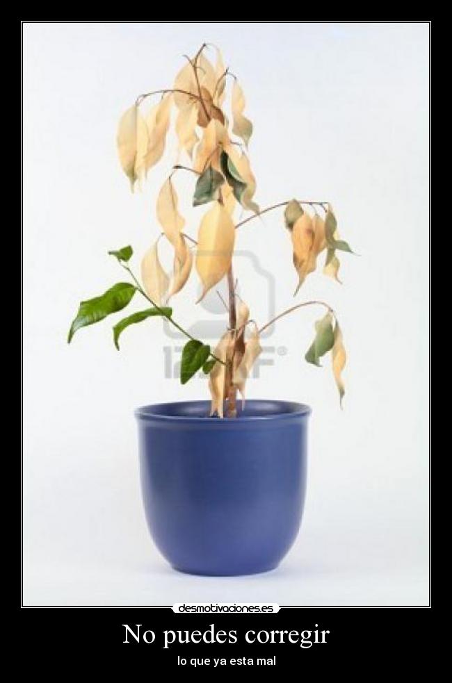 No puedes corregir - lo que ya esta mal