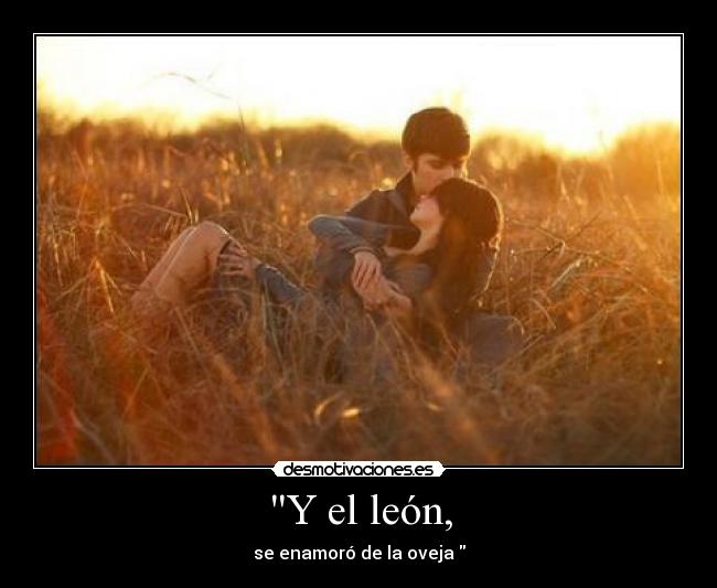 Y el león, - se enamoró de la oveja